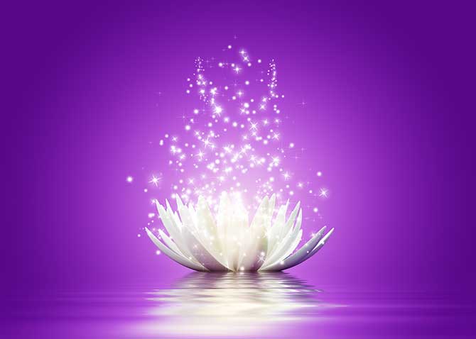 Célébrer l'instant